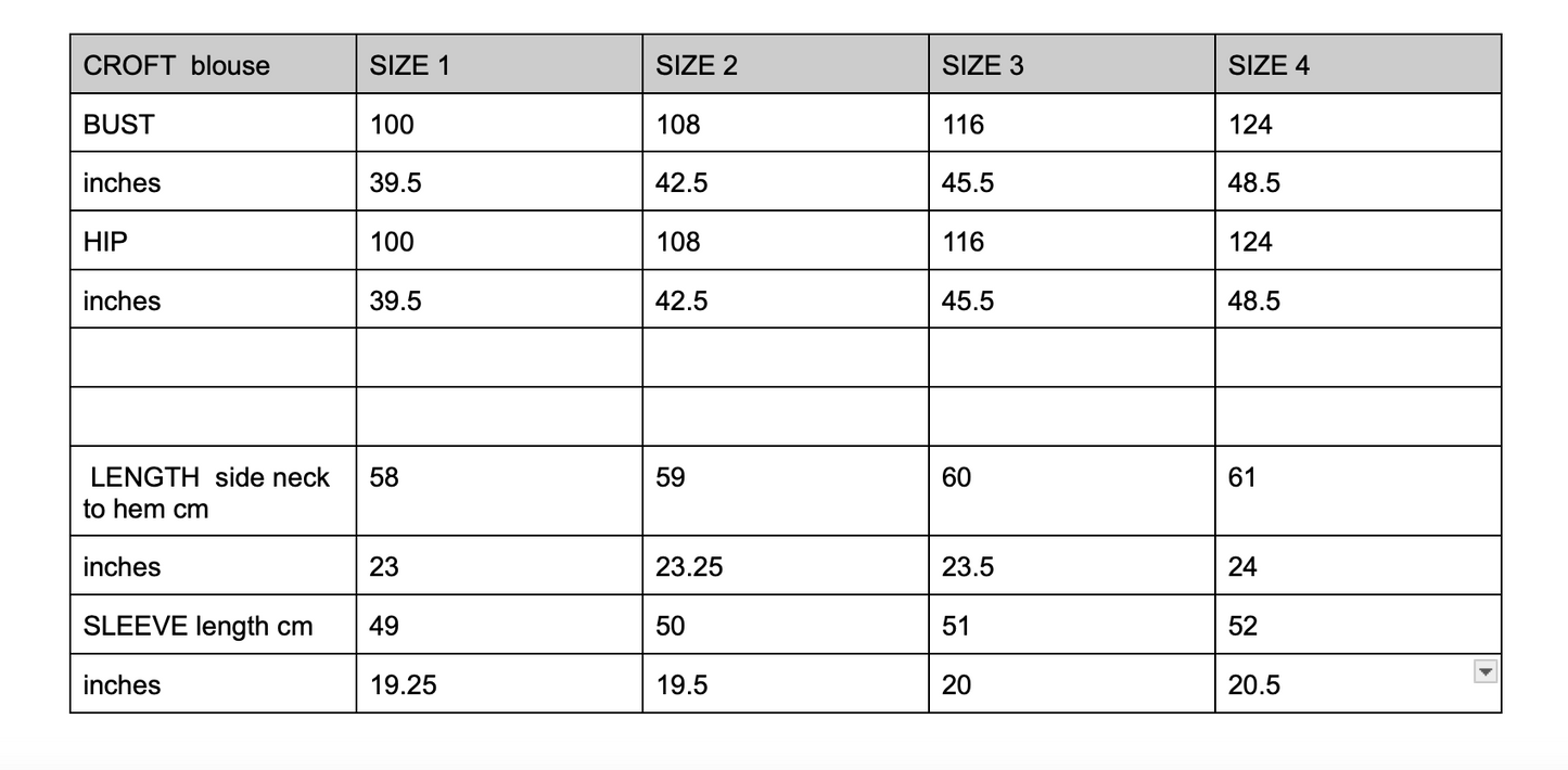 Size chart for a blouse with measurements in inches and centimeters.
