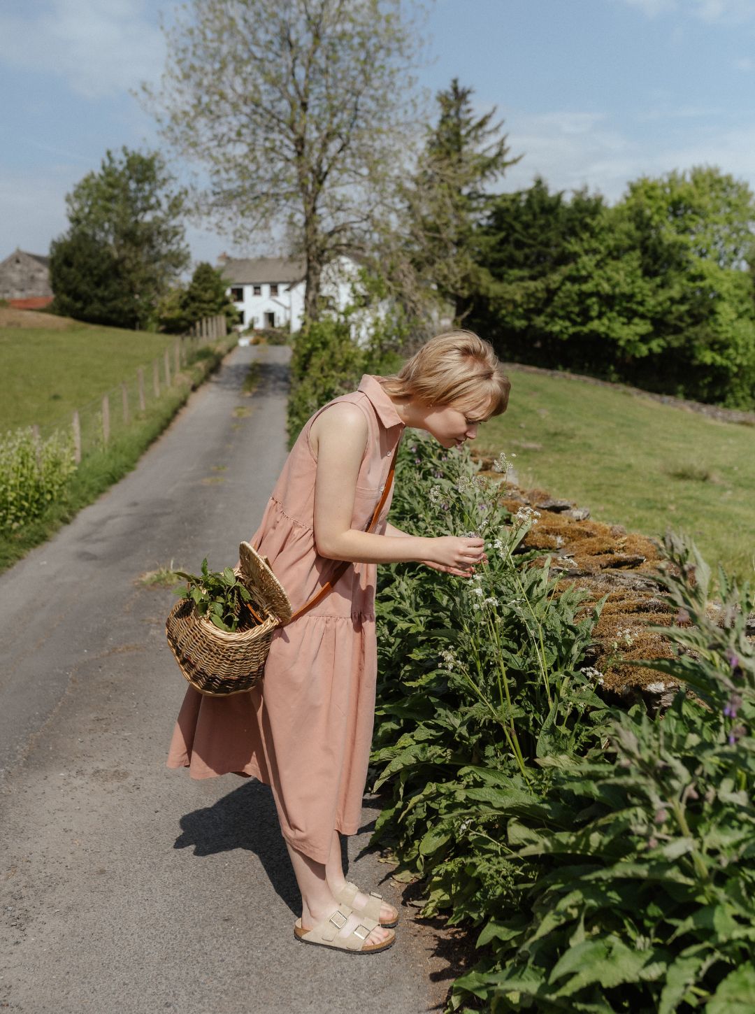 Woman in pink dress standing on a rural road, holding a basket of plants.